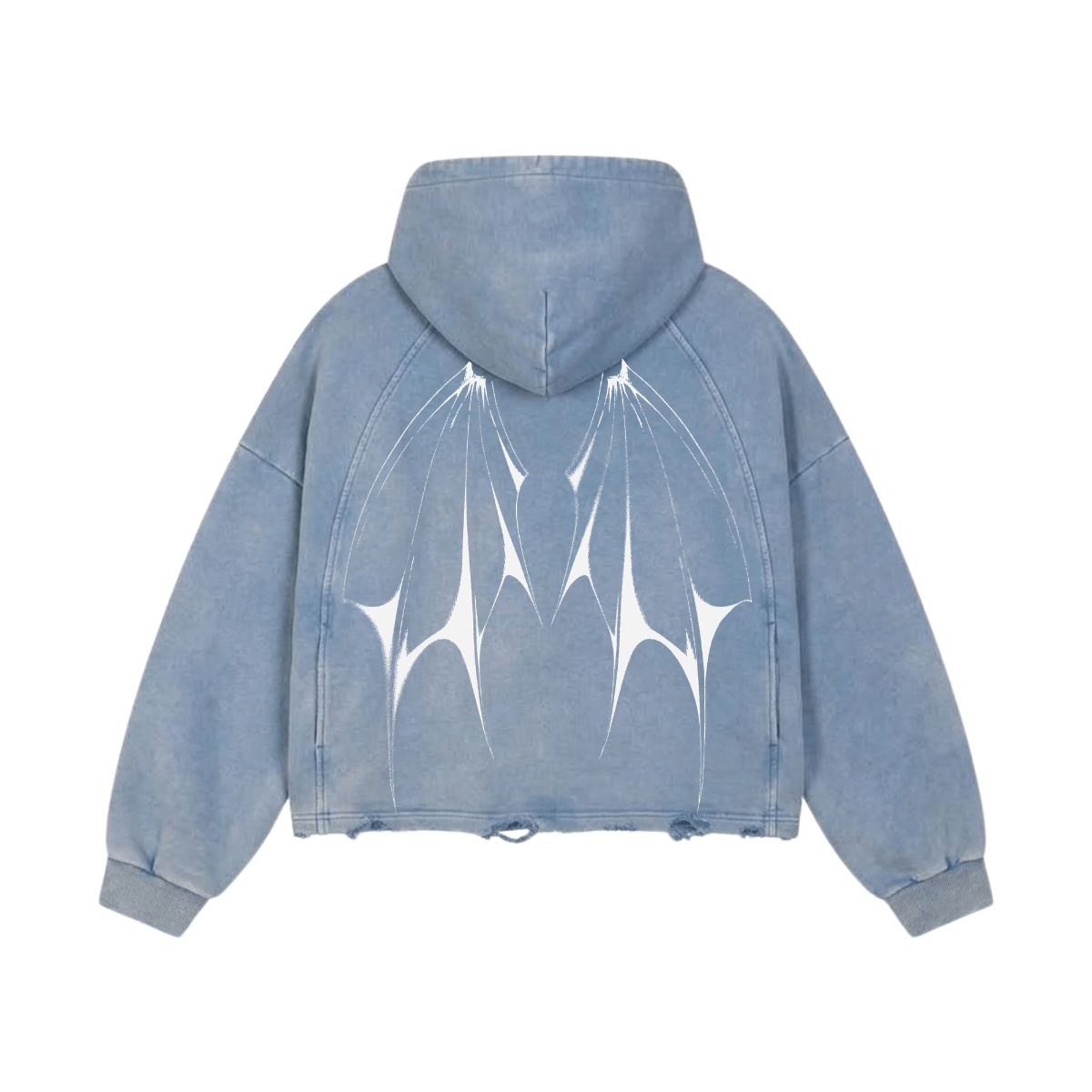 Wing Spread Washed Raglan Hoodie image 2
