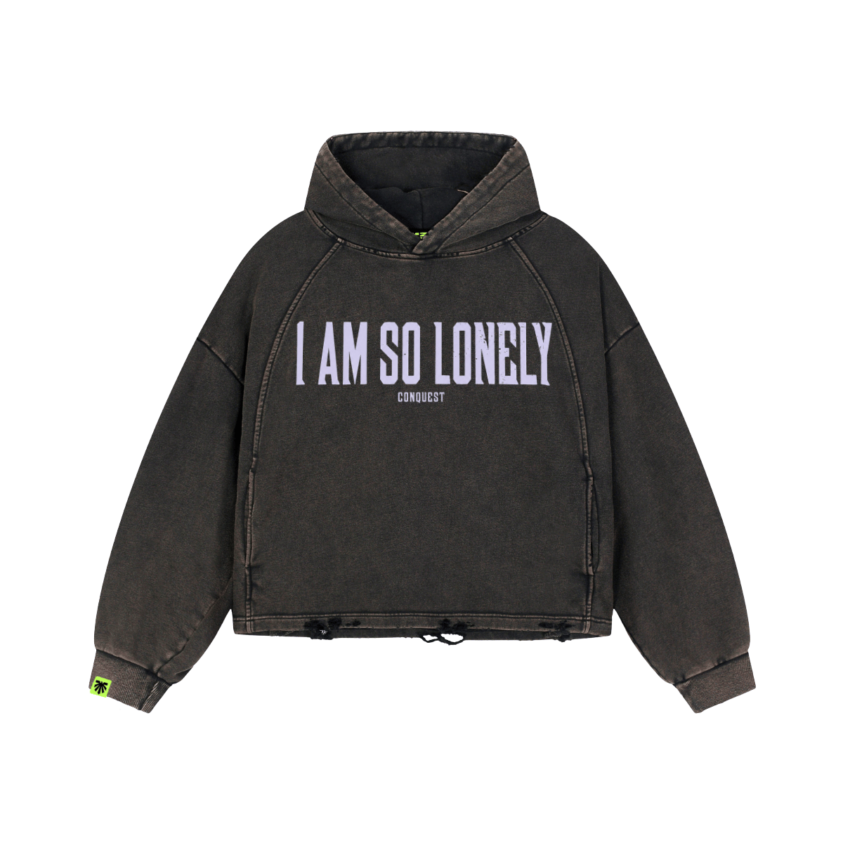 Plain Lonely Washed Raglan Hoodie image 1