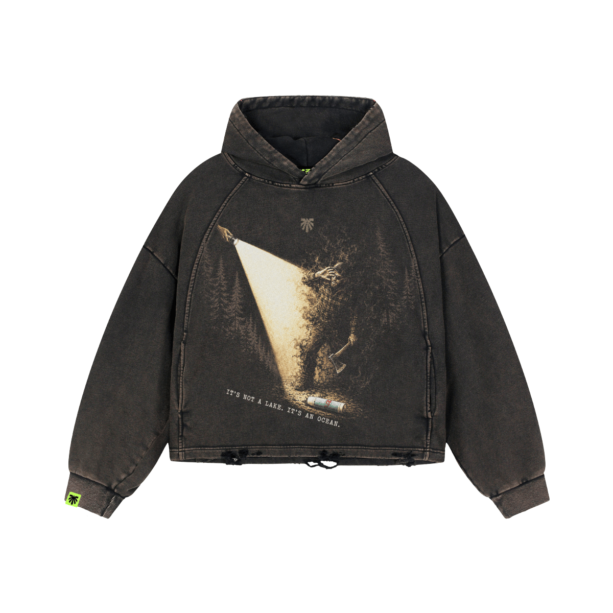 Spotlit Washed Raglan Hoodie image 1